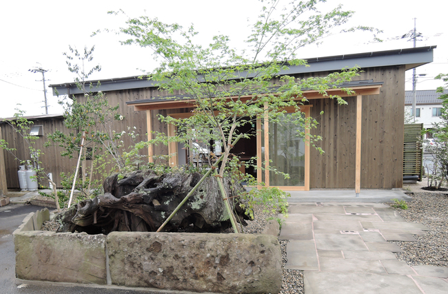 店舗の植栽 | 植富（島根県松江市）造園、庭のメンテナンス、ガーデニング